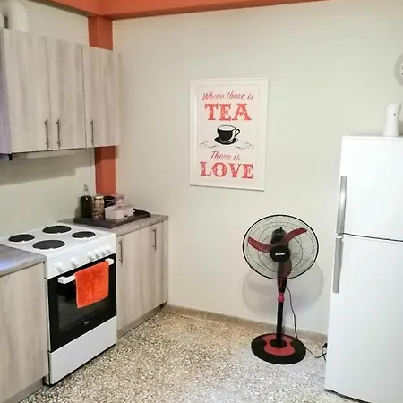 Appartement Spacious Near Acropolis With Roof Garden Athènes