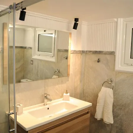 Spacious Near Acropolis With Roof Garden Appartement