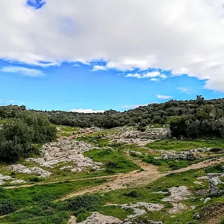 Spacious Near Acropolis With Roof Garden * Athènes