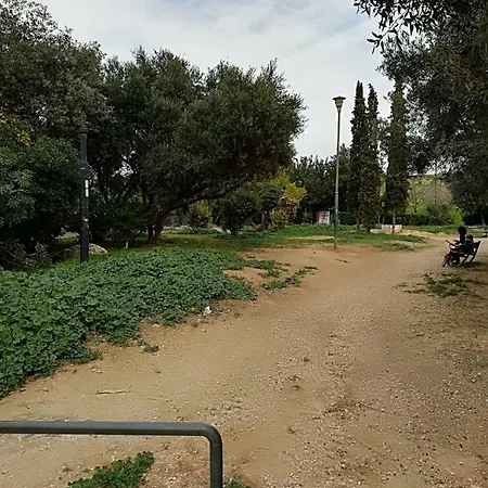 Spacious Near Acropolis With Roof Garden Lägenhet
