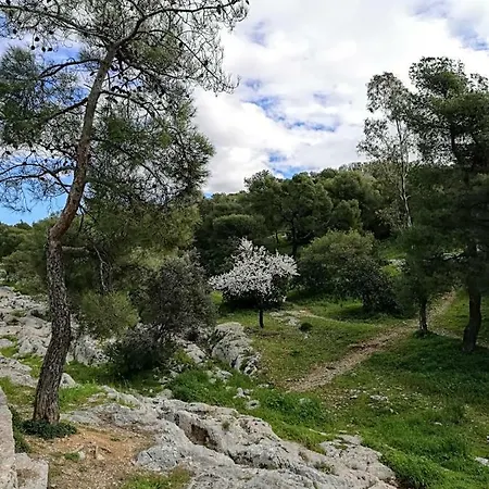 Spacious Near Acropolis With Roof Garden Lägenhet *